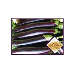 Arzuman Aydın Siyah Patlıcan Tohumu - Thumbnail