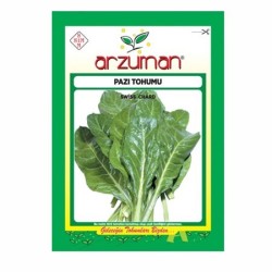 Arzuman - Arzuman Geniş Yaprak Pazı Yeşillik Tohumu